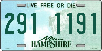 NH license plate 2911191