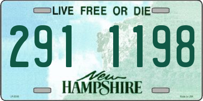 NH license plate 2911198