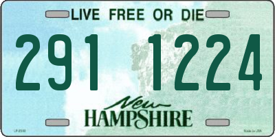 NH license plate 2911224