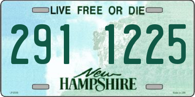 NH license plate 2911225