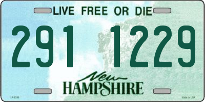 NH license plate 2911229