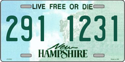 NH license plate 2911231