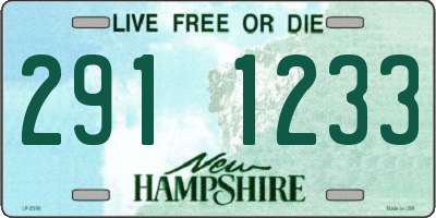 NH license plate 2911233