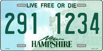 NH license plate 2911234