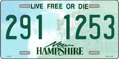 NH license plate 2911253