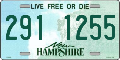 NH license plate 2911255