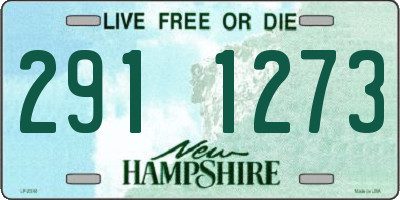 NH license plate 2911273