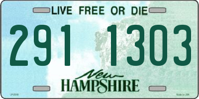 NH license plate 2911303