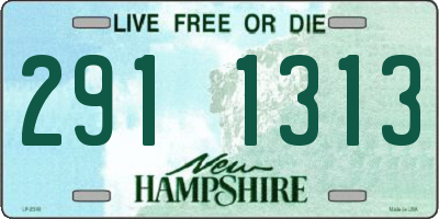 NH license plate 2911313