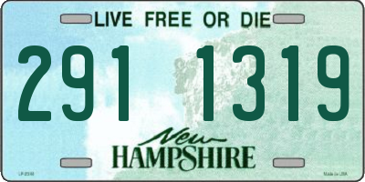 NH license plate 2911319