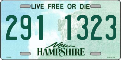 NH license plate 2911323