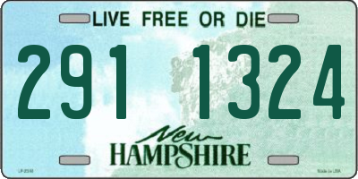 NH license plate 2911324
