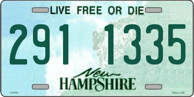 NH license plate 2911335