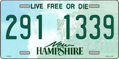 NH license plate 2911339