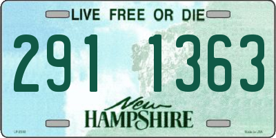 NH license plate 2911363