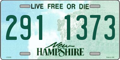 NH license plate 2911373