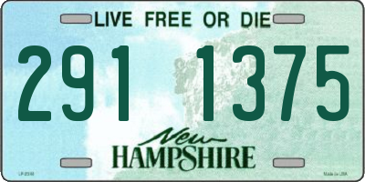NH license plate 2911375
