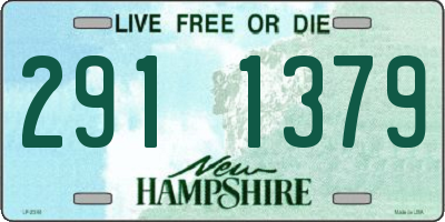 NH license plate 2911379