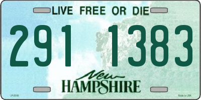 NH license plate 2911383