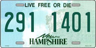 NH license plate 2911401