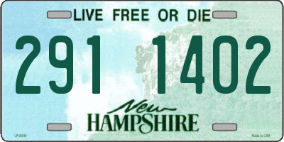 NH license plate 2911402
