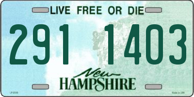NH license plate 2911403