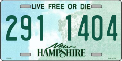 NH license plate 2911404