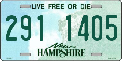 NH license plate 2911405
