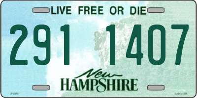 NH license plate 2911407