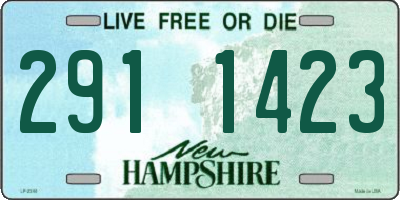 NH license plate 2911423