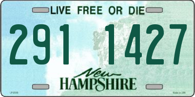 NH license plate 2911427