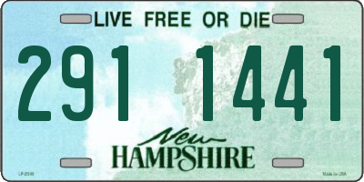 NH license plate 2911441