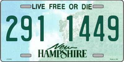 NH license plate 2911449