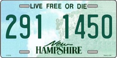 NH license plate 2911450