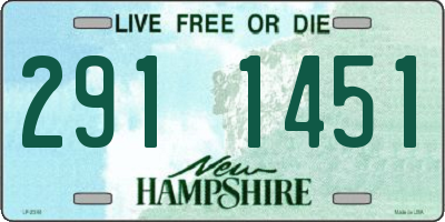 NH license plate 2911451