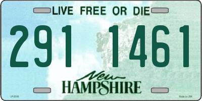 NH license plate 2911461