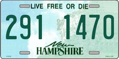 NH license plate 2911470