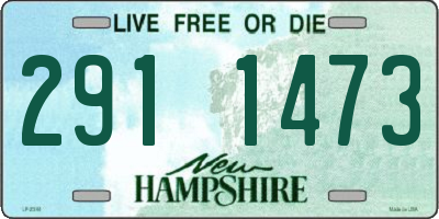 NH license plate 2911473