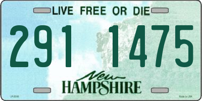 NH license plate 2911475