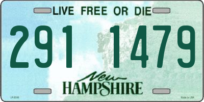 NH license plate 2911479