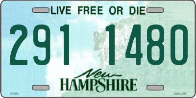 NH license plate 2911480