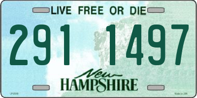NH license plate 2911497