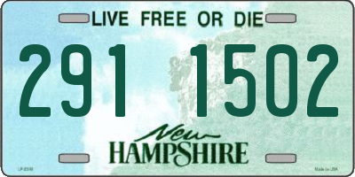 NH license plate 2911502