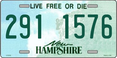 NH license plate 2911576