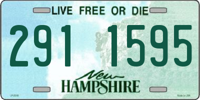 NH license plate 2911595