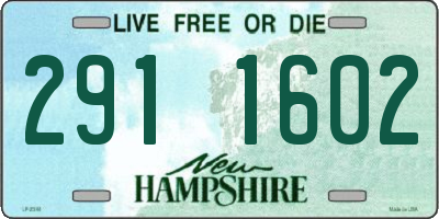NH license plate 2911602