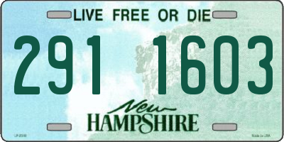 NH license plate 2911603