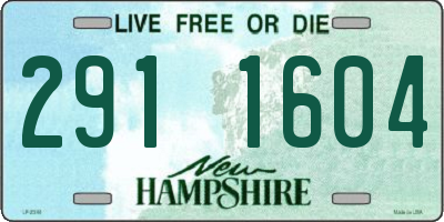 NH license plate 2911604