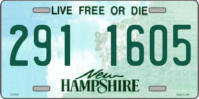 NH license plate 2911605