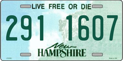NH license plate 2911607